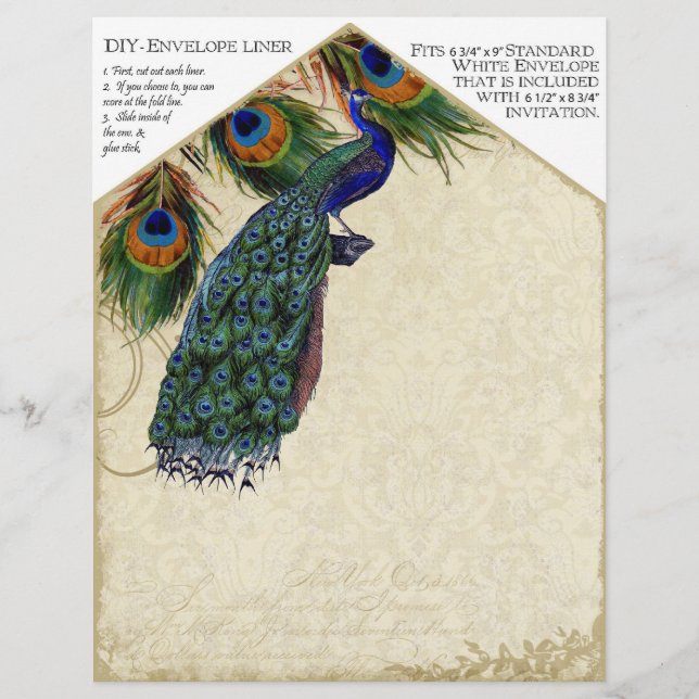 Peacock & Feathers Matching DIY Kuvert Liners Reklamblad (Framsidan)