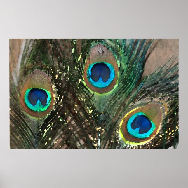 Peacock Feathers med Sten Poster (Framsidan)