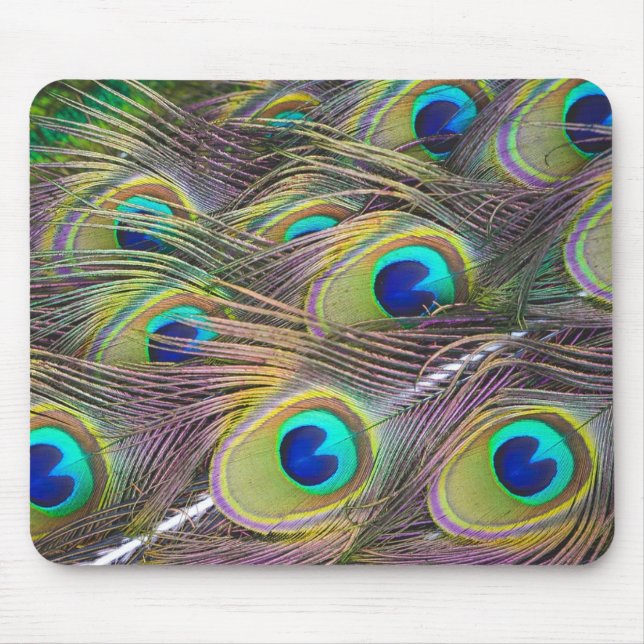 Peacock Feathers Musmatta (Framsidan)