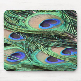 Peacock Feathers Musmatta