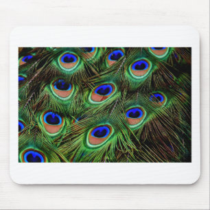 Peacock Feathers Musmatta