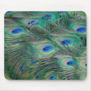 Peacock Feathers Musmatta