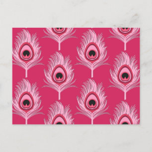 Peacock Feathers, Pastel Rosa on Fuchsia Rosa Vykort