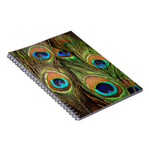 Peacock Feathers Photo Notebook Anteckningsbok