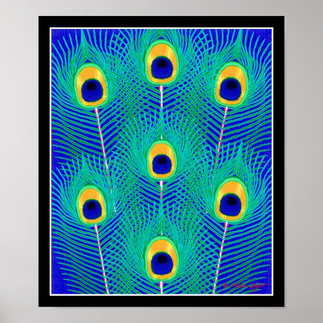 Peacock Feathers Poster Skriv ut (Framsidan)