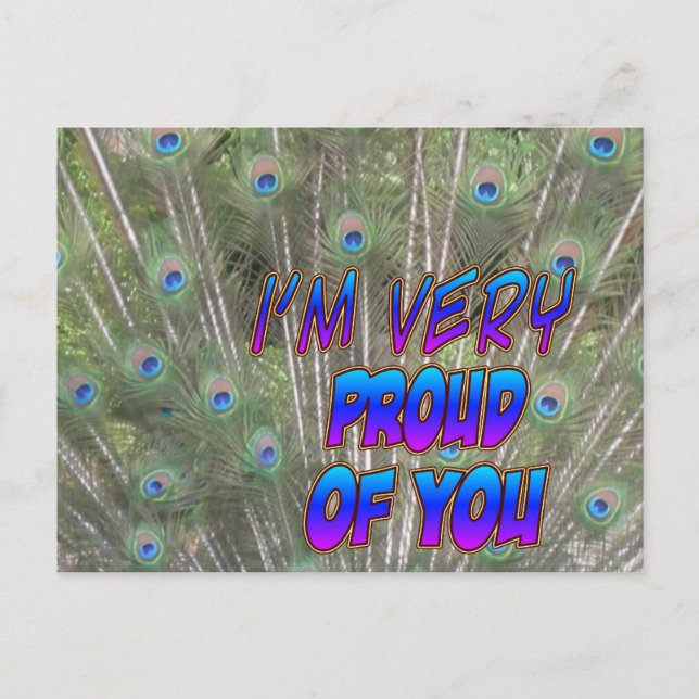 Peacock Feathers Proud Postcard Vykort (Framsida)