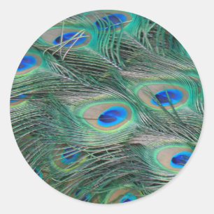Peacock Feathers Runt Klistermärke