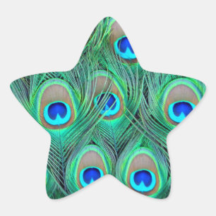 Peacock Feathers Stjärnformat Klistermärke