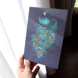 Peacock Feathers Teal Peacocks Kort