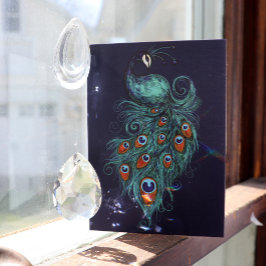 Peacock Feathers Teal Peacocks Kort