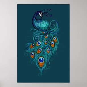 Peacock Feathers Teal Peacocks Poster
