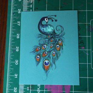 Peacock Feathers Teal Peacocks Vykort