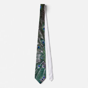 Peacock Feathers tie Slips