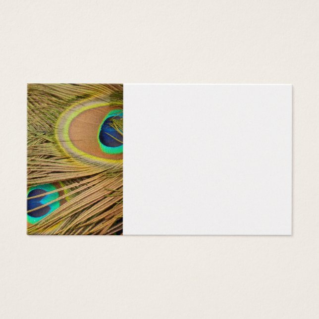 Peacock Feathers Visitkort (Framsidan)