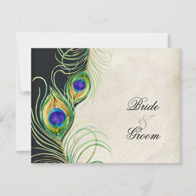 Peacock Feathers Watercolor Black Tan Damask OSA (Framsida)