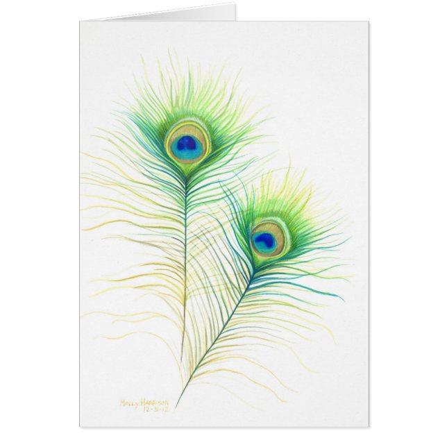 Peacock Feathers Watercolor Illustration Hälsningskort (Framsidan)