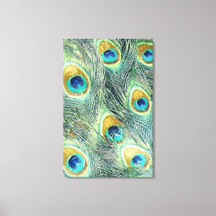 PEACOCK FEATHERS Wrapped Canvas Skriv ut