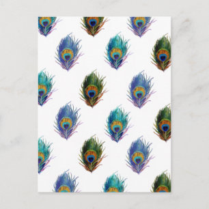 Peacock Fjäder mönster Vykort