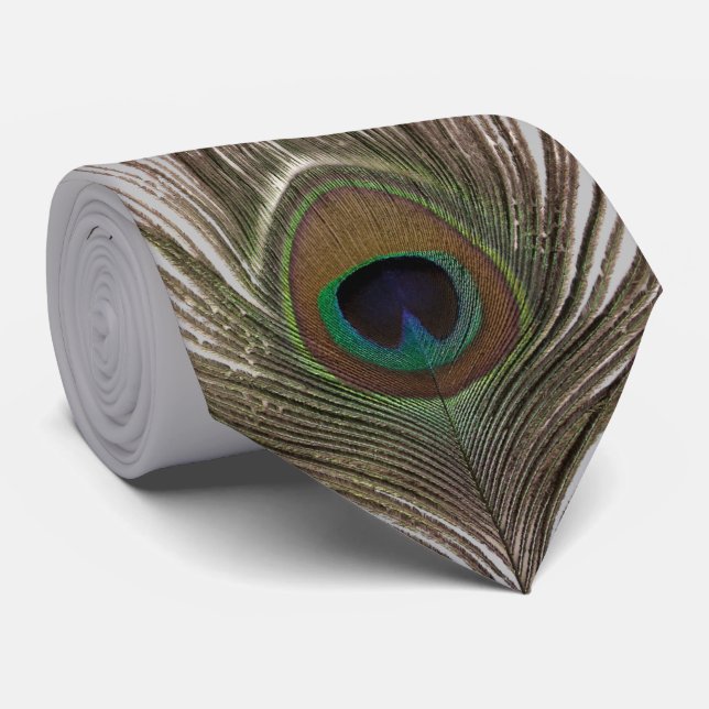 Peacock Fjäderljus grått bg Slips (Rullad)