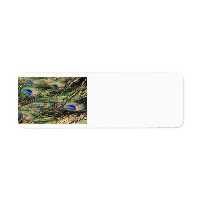 Peacock-fjädrar returnerar adressetikett returadress etikett (Framsidan)