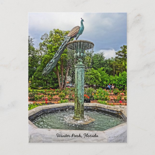 Peacock Fontän & Ro Garden in Winter Park FL FL Vykort (Framsida)