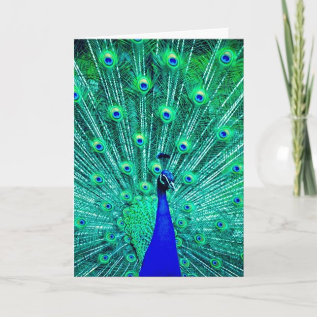 PEACOCK-FOTOGRAFIKBLANKETT - ÖKAT KORT (Framsida)