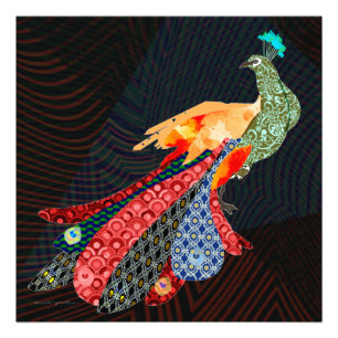 Peacock Fototryck