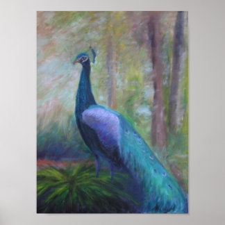 PEACOCK FRÅN FONTÄN I UNGDOMSPoster Poster