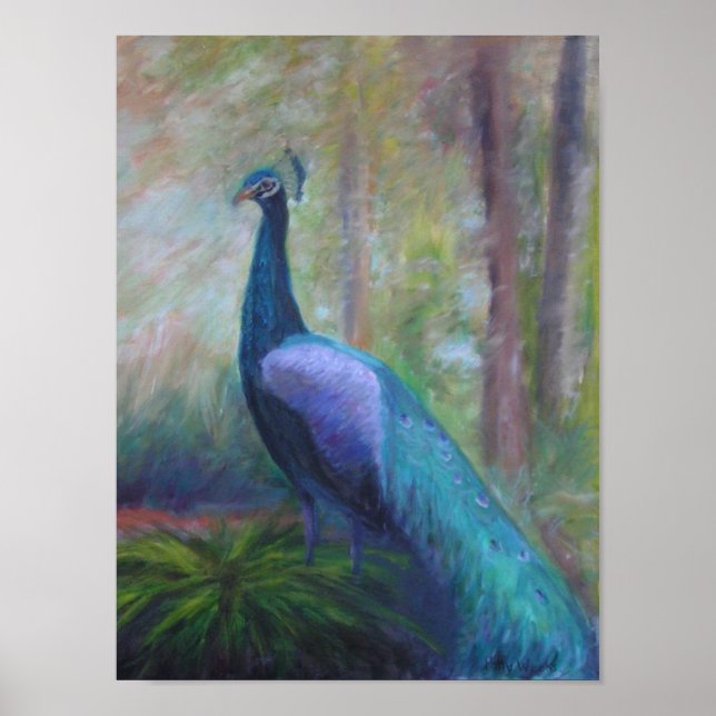 PEACOCK FRÅN FONTÄN I UNGDOMSPoster Poster (Framsidan)