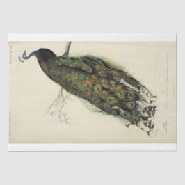 Peacock Fransk Script Ephemera Decoupage