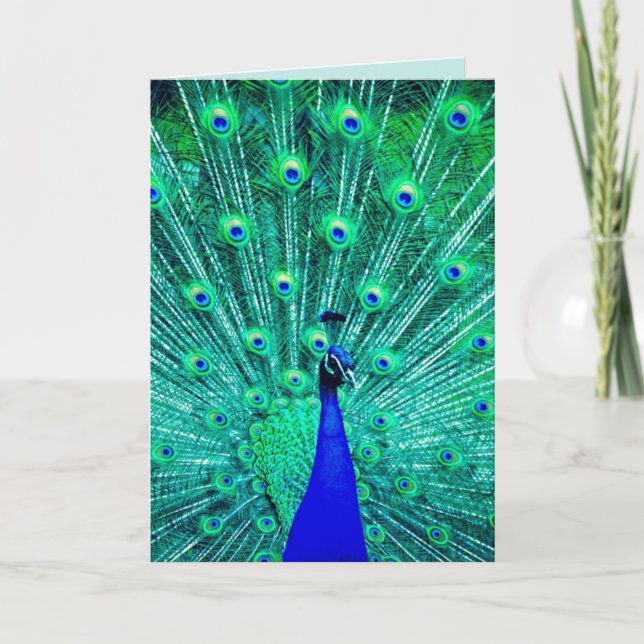 PEACOCK FUNNY BIRTHDAY-KORT KORT (Framsida)