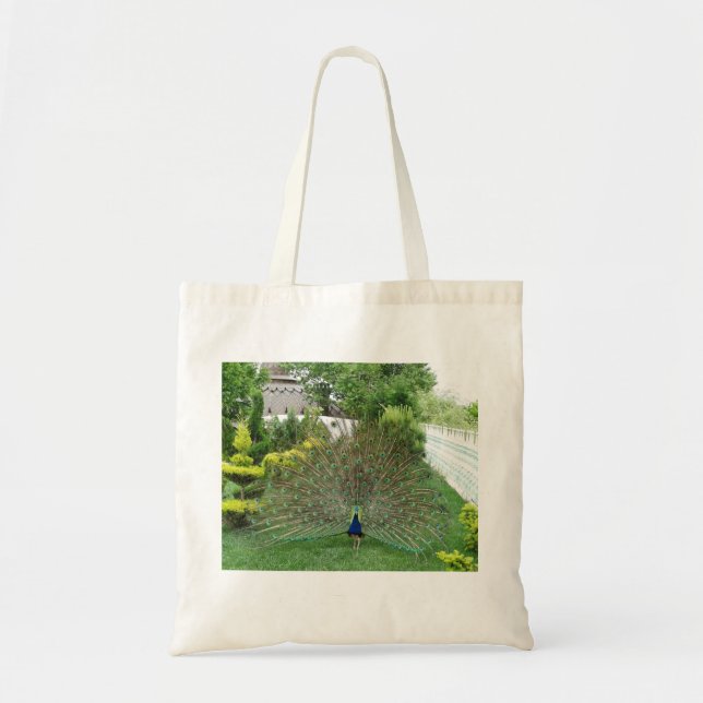 Peacock Garden Photo Budget Tote Tygkasse (Framsidan)