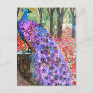 Peacock Garden Vykort