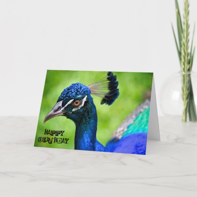 Peacock Grattis på födelsedagen-kort Kort (Framsida)
