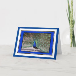 Peacock Hälsning Card Kort