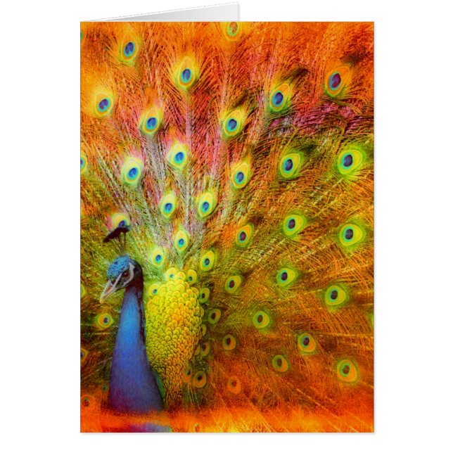 Peacock Hälsningskort (Framsidan)