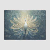 Peacock i Bloom, vita fjädrar, Elegance