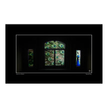 Peacock i en fönsterPoster