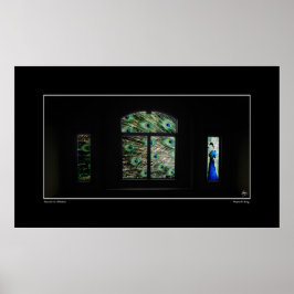 Peacock i en fönsterPoster Poster