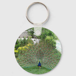 Peacock i en Garden Nyckelring