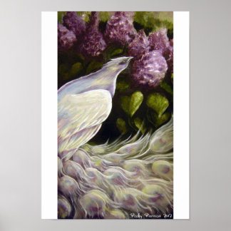 Peacock i Lilacs Poster