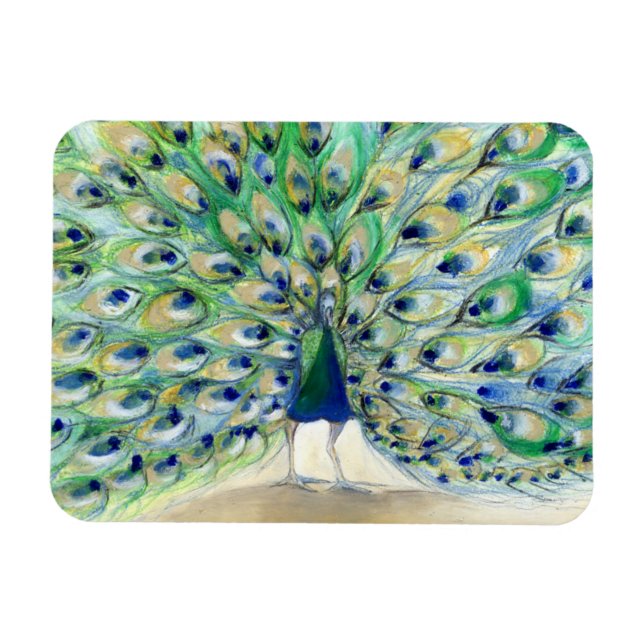 Peacock i San Diego 2013 Magnet (Horisontell)