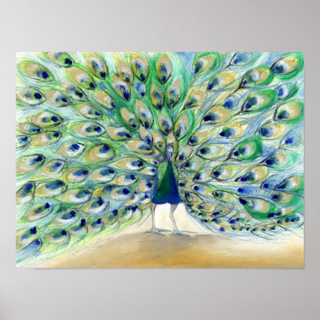 Peacock i San Diego 2013 Poster (Framsidan)