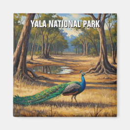 Peacock i Sri Lanka Yala National Park Travel Magnet