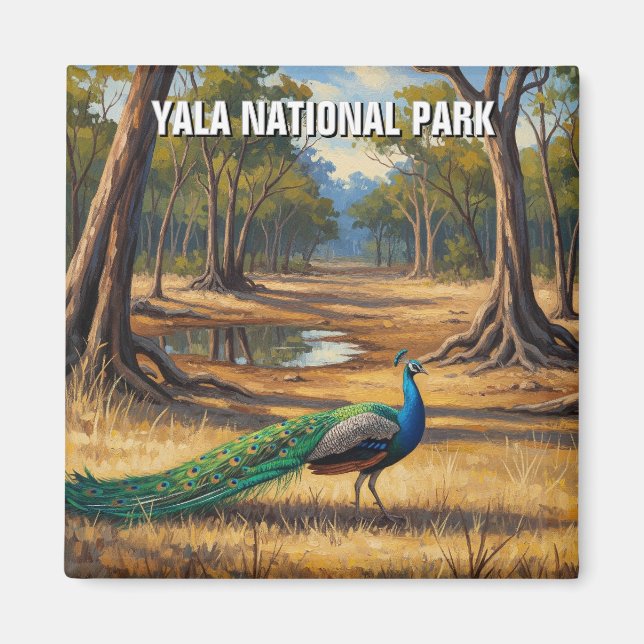 Peacock i Sri Lanka Yala National Park Travel Magnet (Framsidan)