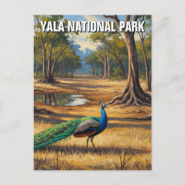 Peacock i Sri Lanka Yala National Park Travel Vykort