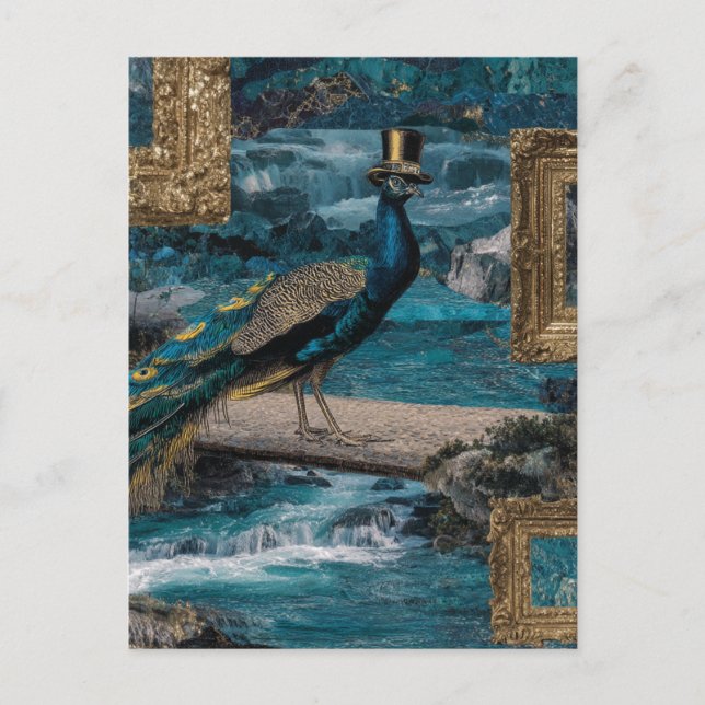 Peacock i Top hat Vykort (Framsida)