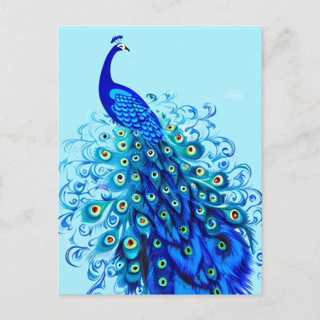 Peacock i turkos, Cobalt Blue och Aqua Vykort (Framsida)