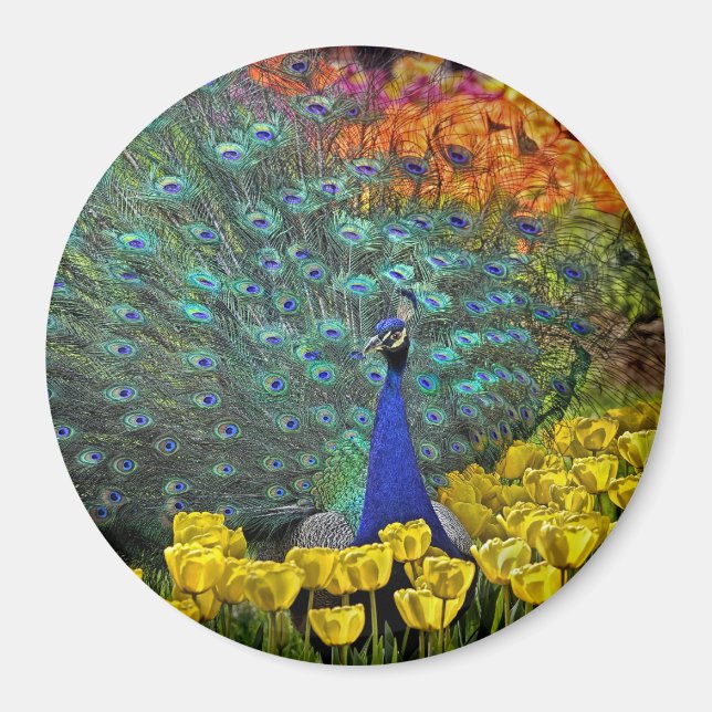 Peacock i Vår blommor #1 Magnet (Framsidan)