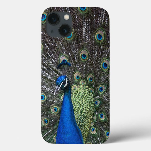 Peacock iPad Case (Baksida)